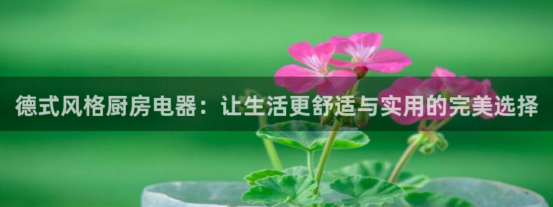 鸿运来补单平台