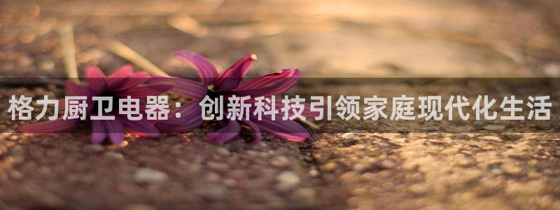鸿运福彩平台