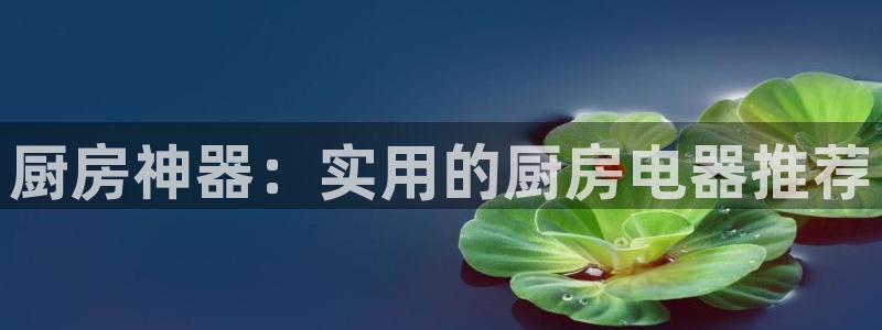 游戏鸿运平台网站