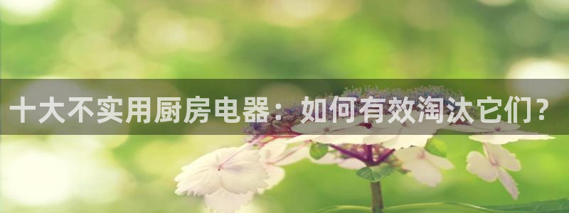 鸿运当头贷款平台