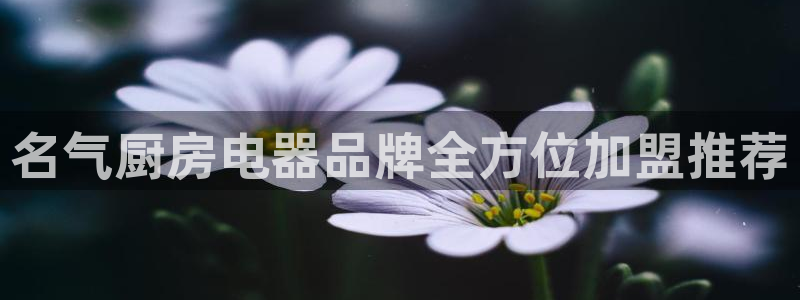 国际鸿运官方平台