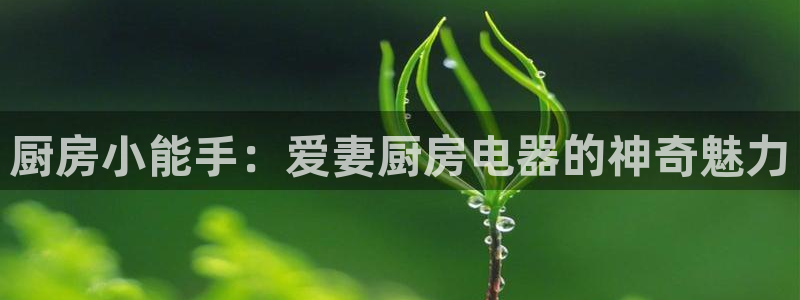 鸿运牛蹄团购平台