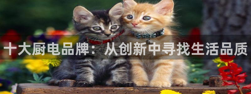 鸿运平台进入官网
