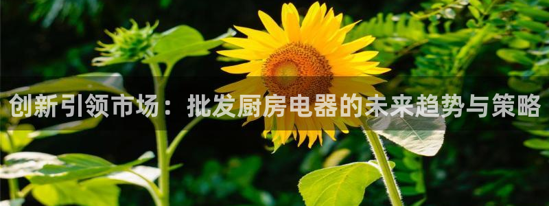 鸿运通什么平台