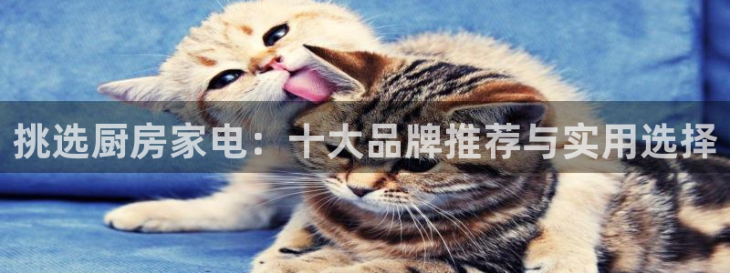 鸿运彩 票诈骗平台