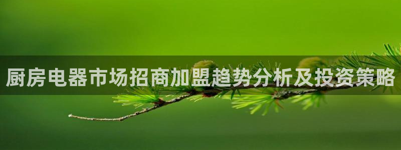 鸿运宝金融投资平台