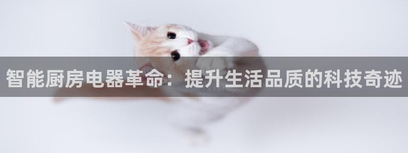 鸿运军团平台被骗
