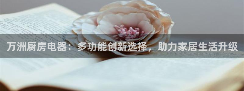 鸿运彩票 的平台