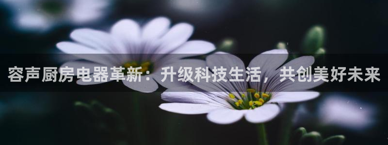 鸿运平台运平