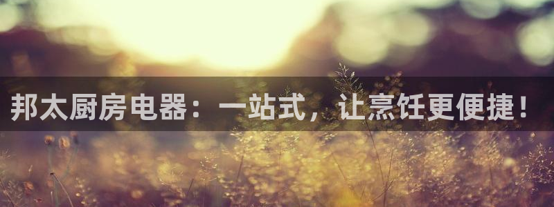 鸿运策略平台
