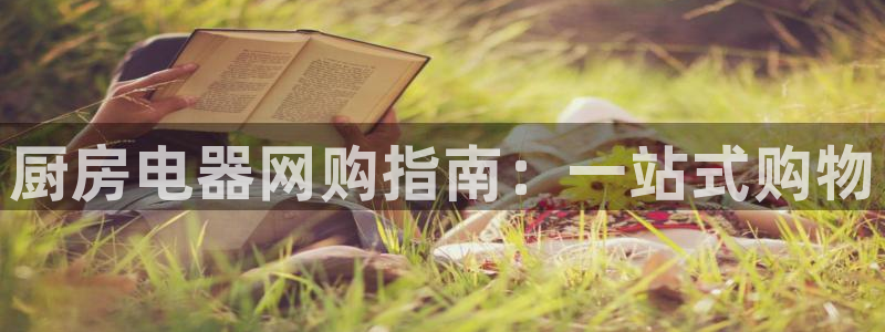 国际鸿运手机版平台