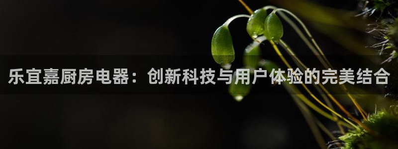鸿运策略股票平台骗局