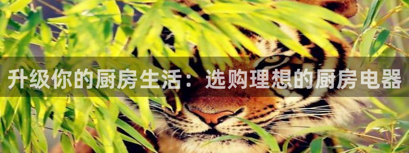 鸿运彩票平台下载