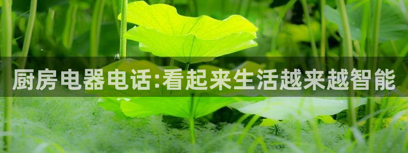 鸿运来投资平台