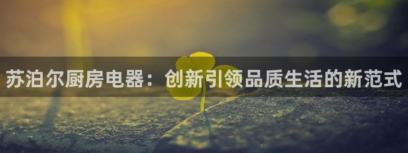 鸿运链锁管理平台