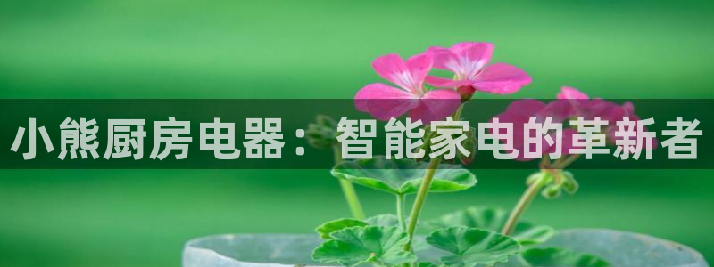 鸿运最新平台