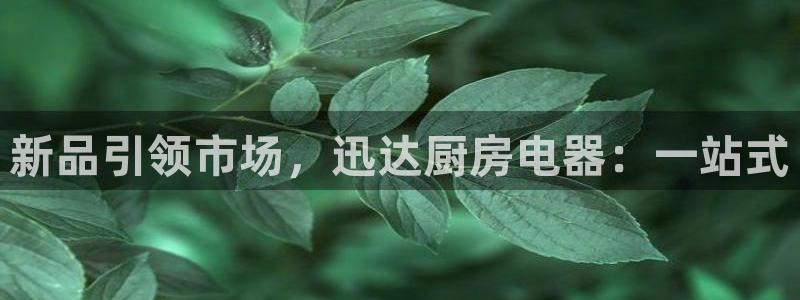鸿运互娱平台
