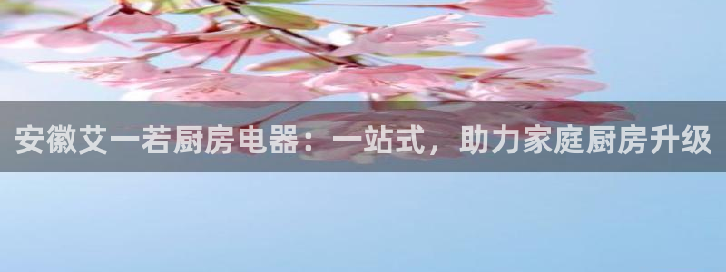 鸿运兄弟创造平台