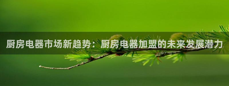 鸿运彩票平台带玩