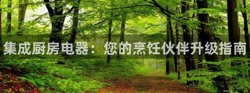 琥珀鸿运平台多久了