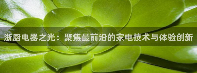 鸿运平台代理平