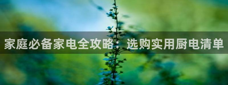 鸿运服务平台官网