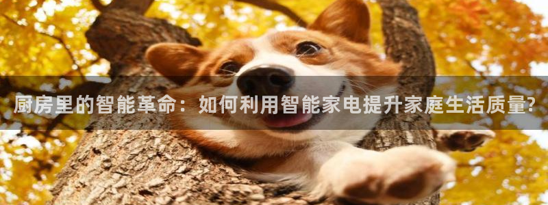 鸿运当头平台好吗