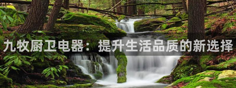 鸿运市场直播平台