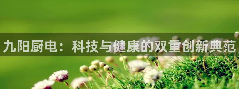 鸿运卡盟平台