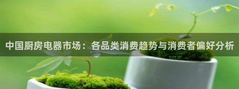 鸿运平台是大平台吗