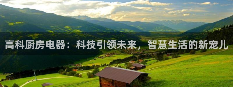 被鸿运平台骗