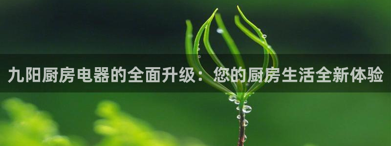 鸿运平台进入官网
