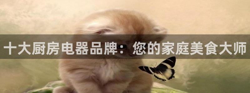 鸿运团队推广平台