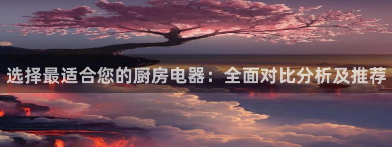 鸿运华宁技术平台