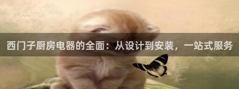 鸿运服务平台是什么