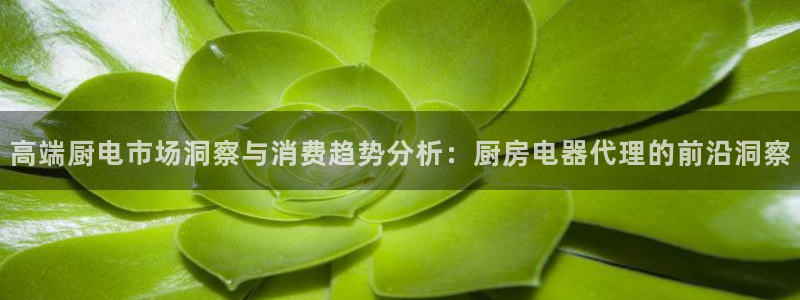 鸿运代拍平台