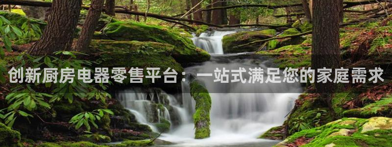 东方鸿运购物平台