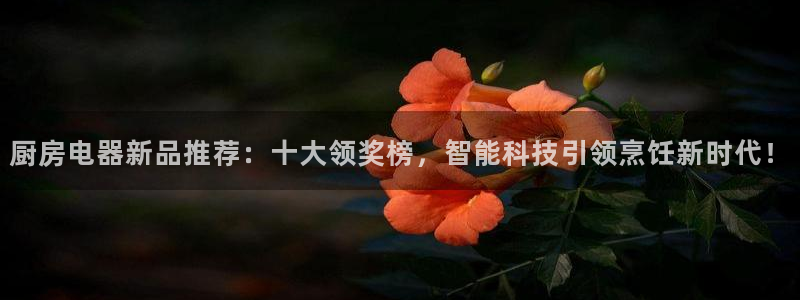 鸿运商城珠宝平台