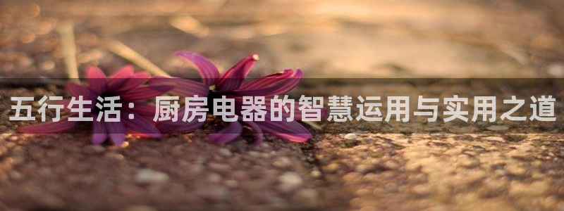 鸿运是哪里平台