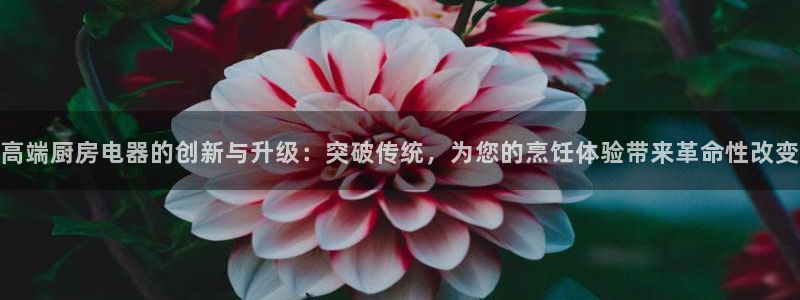 鸿运平台刷单
