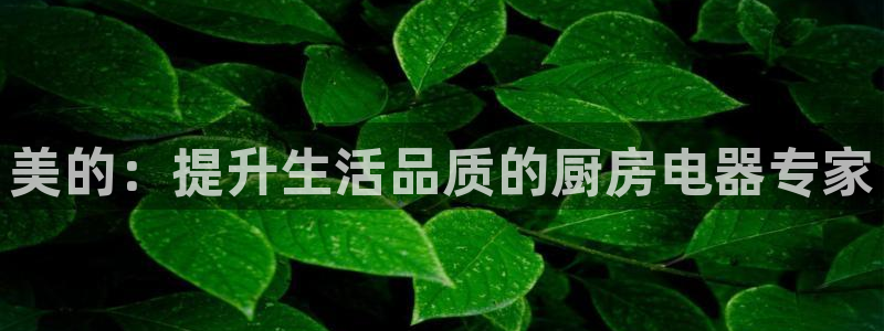 鸿运手机麻将平台