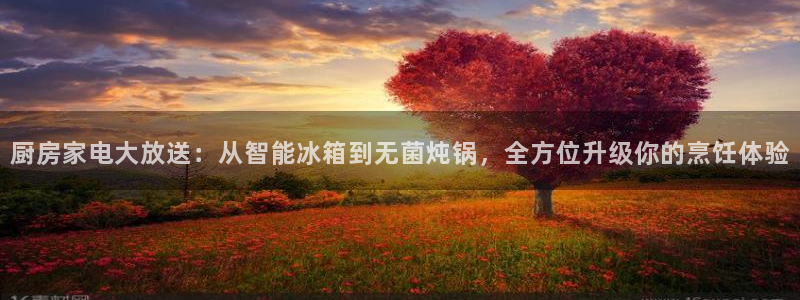 鸿运代还平台
