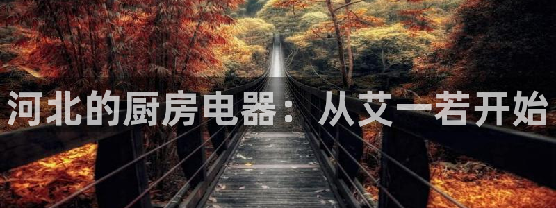 鸿运平台代理