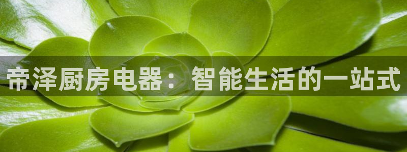 鸿运棋牌游戏平台
