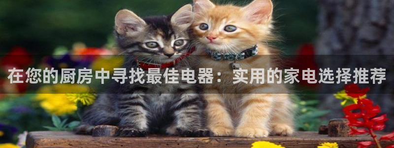 鸿运九九平台