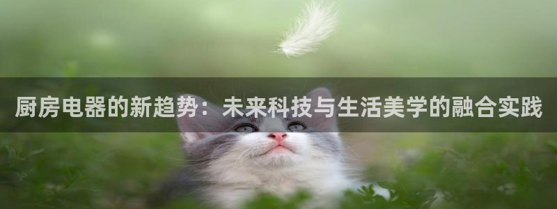 鸿运网络麻将平台