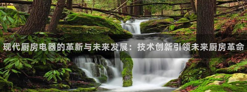 鸿运网投平台
