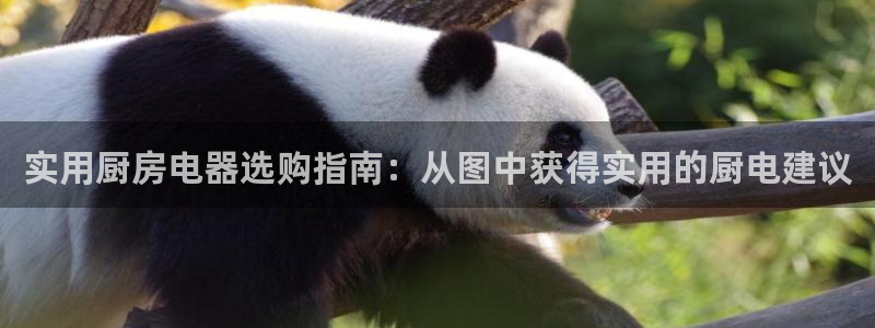 鸿运资本平台被骗