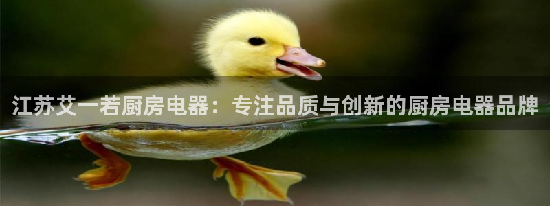 鸿运赌城平台