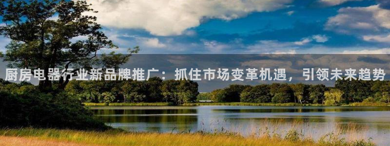 鸿运当头平台画